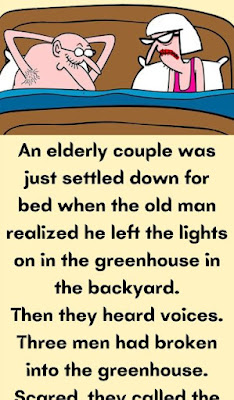 An elderly couple was just settled down for bed when the old man realized he left the lights on in the greenhouse in the backyard